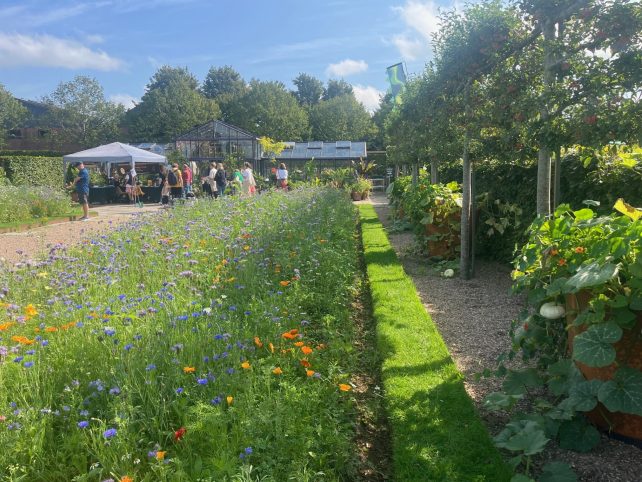 Yeo Valley gardens