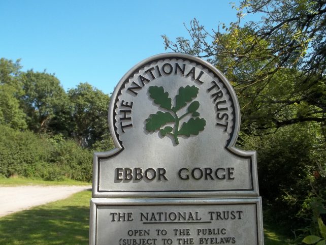 Places to go in Somerset - Ebbor Gorge