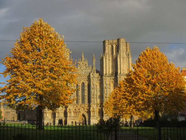 Things to do in Wells Somerset