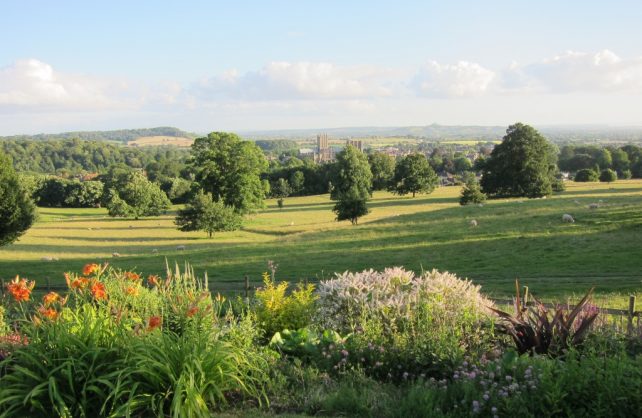 Gardens in Somerset