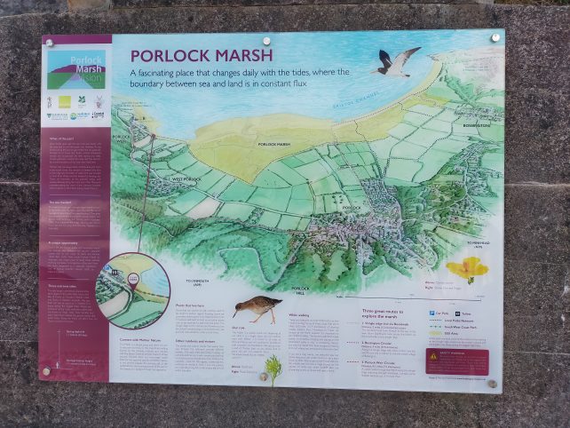Porlock Marsh information