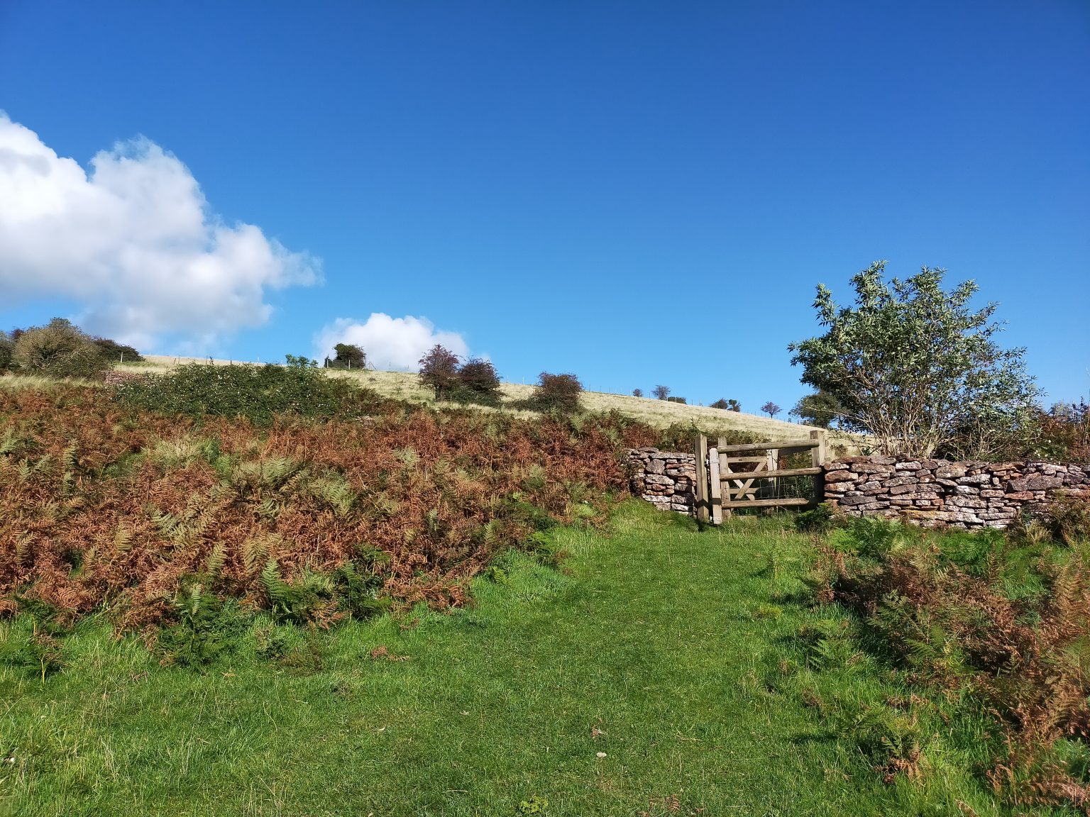 Awardwinning bed & breakfast in Somerset. The Cross at